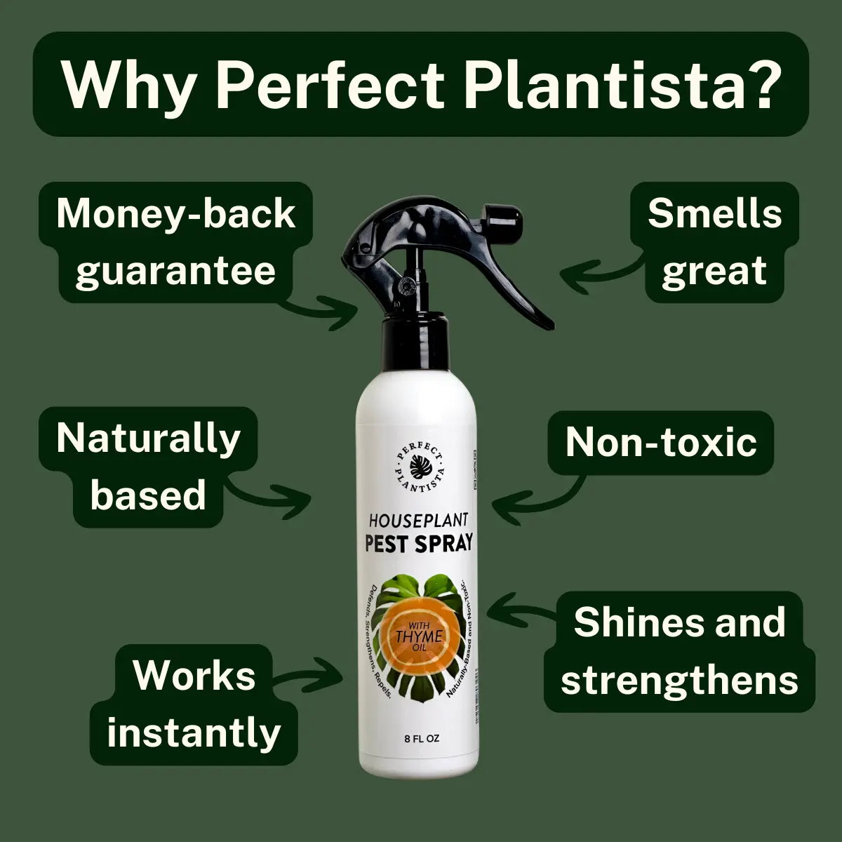 Houseplant Pest Spray - Natural Thyme Oil Repellent for Indoor Plants, Fungus Gnats & Bugs (Plant-Safe)