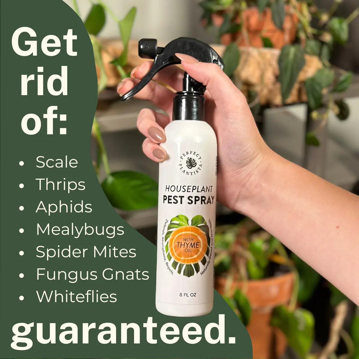 Houseplant Pest Spray - Natural Thyme Oil Repellent for Indoor Plants, Fungus Gnats & Bugs (Plant-Safe)