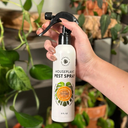 Houseplant Pest Spray - Natural Thyme Oil Repellent for Indoor Plants, Fungus Gnats & Bugs (Plant-Safe)